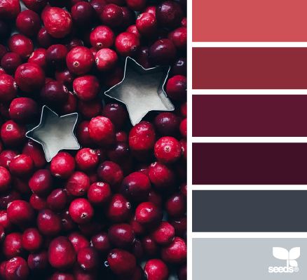 Cranberry red Seeds Color, Winter Color Palette, Deco Rose, Backgrounds Aesthetic, Color Season, Design Seeds, Color Balance, Colour Board, Winter Colors