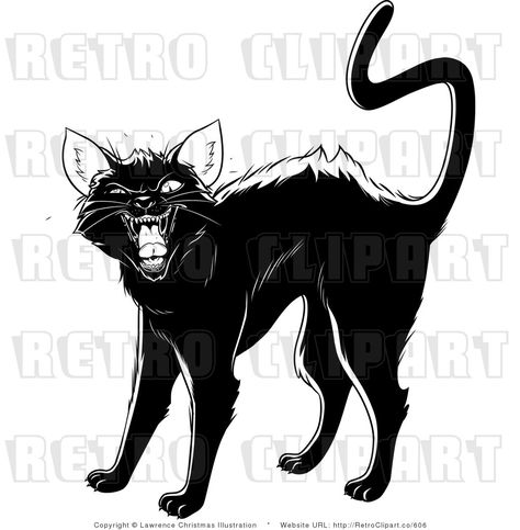 Cat Attacking Drawing, Black And White Cats Drawing, Cat Black And White Drawing, Cat Hissing Drawing, Hissing Cat, Angry Cat Illustration, Cat Hissing Illustration, Cat Illustration Black And White, Animal Body Parts