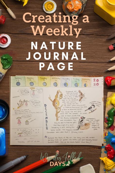 Nature Journal Ideas, Journal Ideas For Kids, Journals Pages, Journal Activities, Nature Journals, Nature Calendar, Homeschool Nature Study, Do It For Me, Charlotte Mason Homeschool