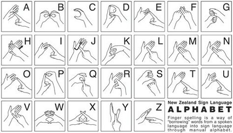 Alphabet sign language NZ Nz Sign Language, Alphabet Sign, Summer Camp Art, Sign Language Lessons, Sign Language Phrases, Alphabet Signs, Assessment Rubric, Sign Language Interpreter, Sign Language Words