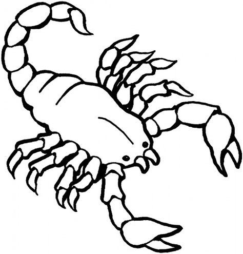 free-animals- scorpion-printable-coloring-pages-for-preschool Scorpion Craft, Coloring Pictures Of Animals, Desert Crafts, Desert Habitat, Desert Theme, Desert Animals, Printable Animals, Detailed Coloring Pages, Simple Line Drawings