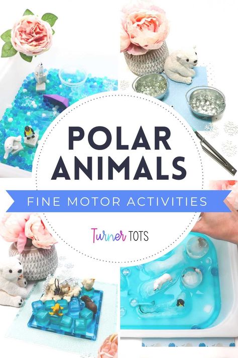 Add fun to your polar animal preschool lesson plans with fun, hands-on fine motor activities your tots will love! Create inviting fine motor centers with a water bead sensory bin, snowball game, polar animal play dough invitation, and an ice excavation sensory bin. Perfect fine motor activities for winter! Get all of the details for each Arctic animal fine motor activity for preschoolers on the Turner Tots’ blog today. Arctic Animals Fine Motor Activities, Arctic Fine Motor Activities, Polar Bear Fine Motor Activities, Polar Sensory Bin, Winter Fine Motor Activities, Snowball Game, Fun Preschool Activities, Fine Motor Activities For Toddlers, Winter Fine Motor