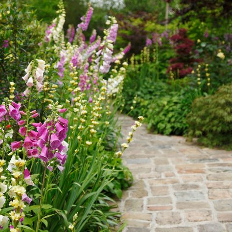 14 garden path ideas – curved and straight walkway designs in gravel, brick and stone for every budget Brick Pathway Garden, Paving Stones Walkway, Cottage Front Garden, Front Garden Path, Walkway Designs, Garden Path Ideas, Small Front Gardens, Brick Path, Path Ideas