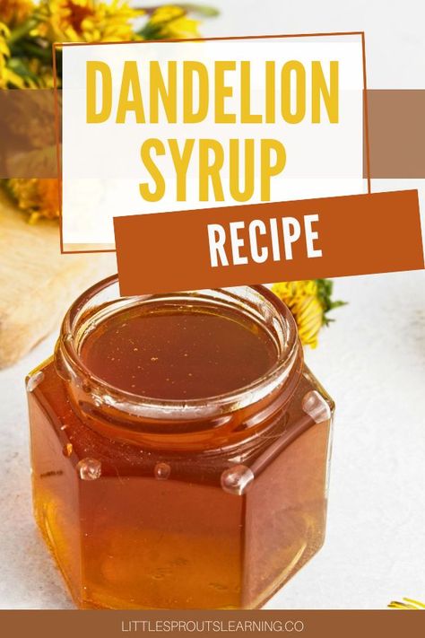 Dandelion syrup is a golden elixir born from the bright blooms of spring. Often overlooked as mere weeds, dandelions boast a wealth of culinary potential, offering a sweet nectar that can be transformed into a delightful syrup. It's a great sweet sauce that you can make yourself. Dandelion Simple Syrup, Dandelion Syrup Recipe, Dandelion Cordial, Dandelion Honey Recipe, Dandelion Syrup, Creative Canning, Dandelion Quotes, Honey Remedies, Refresh Home