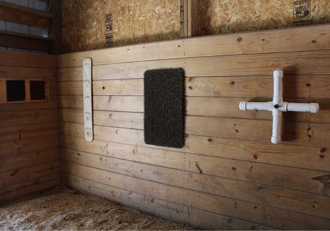 Soft Circle Scent Board | DIY Horse Enrichment - Enriching Equines Horse Enrichment Ideas Diy, Cow Enrichment, Equine Enrichment, Horse Enrichment Ideas, Pet Cows, Recessed Shelves, Barn Stalls, Equine Therapy, Horse Feed