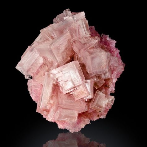 2.5" Sharp Bright Pink Phantom HOPPERED HALITE Crystals Searles Lake CA for sale - $100 Minerals Crystals Rocks, Rocks And Fossils, Magic Stones, Geology Rocks, Palm Stones, Metaphysical Healing, Pink Bling, Beautiful Rocks, Rocks Crystals