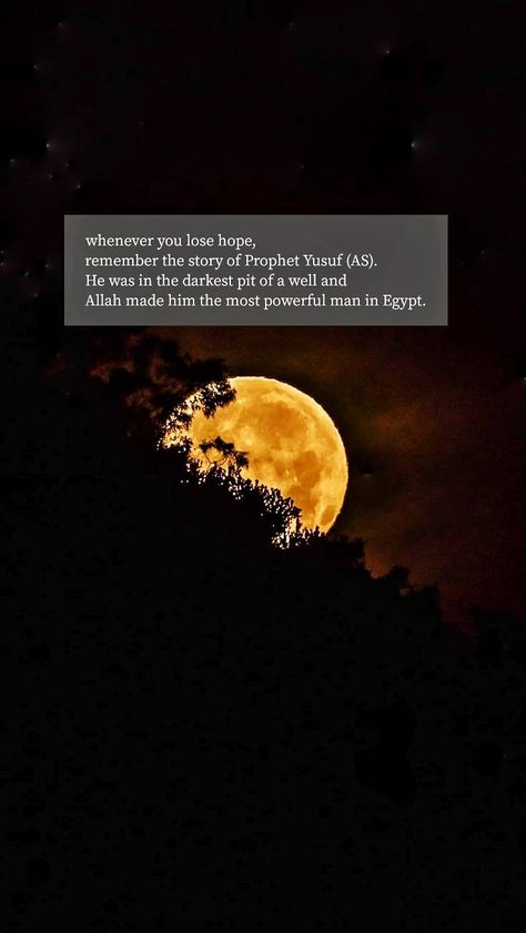 whenever you lose hope, remember the story of Prophet Yusuf (AS). He was in the darkest pit of a well and Allah made him the most powerful man in Egypt. Story Of Prophets In Islam, Prophet Yusuf Quotes, Stories Of Prophets Islam, Prophets Quotes, Prophet Yusuf, Prophet Stories, Smile Quotes Beautiful, Mysterious Quotes, Aesthetic Lines