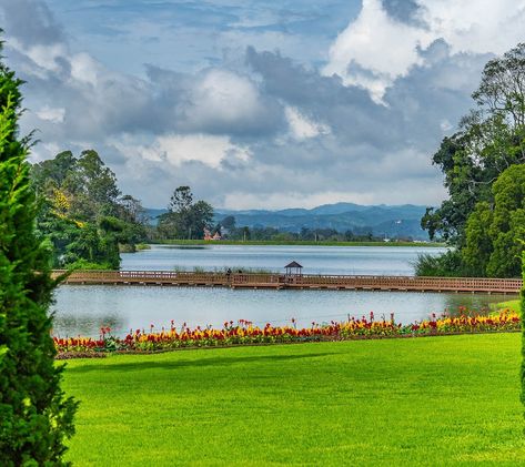 National Kandawgyi Botanical Gardens (Pyin Oo Lwin (Maymyo)) - All You Need to Know BEFORE You Go Pyin Oo Lwin Gardens, Pyin Oo Lwin, Ooty Botanical Garden, Malagos Garden Resort, Shinjuku Gyoen National Garden, Singapore Botanic Gardens, Hills Resort, Hill Station, Mandalay