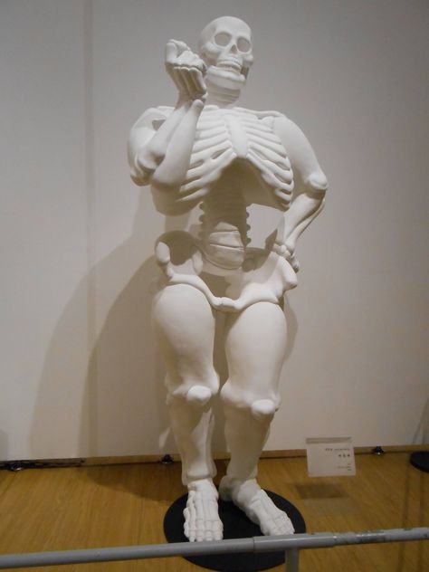 I'm just big-boned. - Imgur Xray Humor, Big Boned, Xray Tech, Rad Tech, Radiology, X Ray, Bones Funny, Makes Me Laugh, So Funny