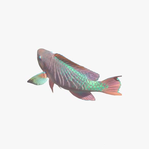 Ocean Carrd Png, Ocean Png Aesthetic, Fish Aesthetic Icon, Ocean Icons Png, Fish Widget Icon, Summer Png Aesthetic, Fish Widget, Ocean Png, Ocean Png Icons