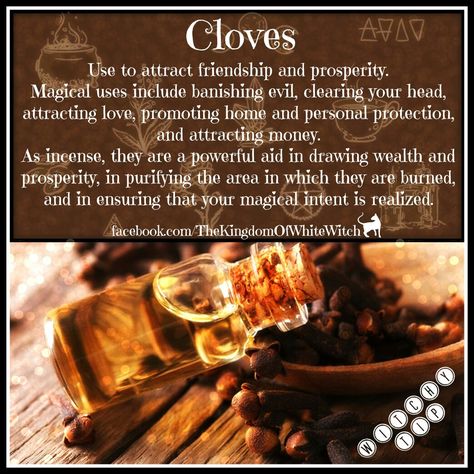 ⓒⓛⓞⓥⓔⓢ                                                       … Beauty Spells, Magickal Herbs, Witch Herbs, Magia Das Ervas, Magic Herbs, Kitchen Witchery, Under Your Spell, Magick Spells, Eclectic Witch