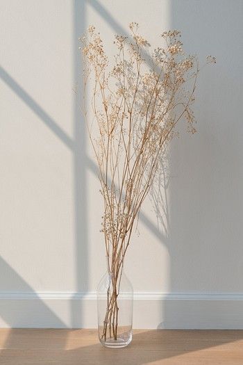 Dried gypsophila window shadow beige | Premium Photo - rawpixel Baby Breath Flower, Dried Gypsophila, Window Shadow, Flower Shadow, Wallpaper Estetika, Beige Wall, Baby Breath, Beige Walls, Floral Background