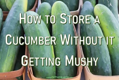 Store Cucumbers, Food Saver Hacks, How To Store Cucumbers, Kitchen Hacks Food, Food Shelf Life, Freezing Vegetables, Amazing Food Hacks, Prevent Food Waste, Storing Vegetables