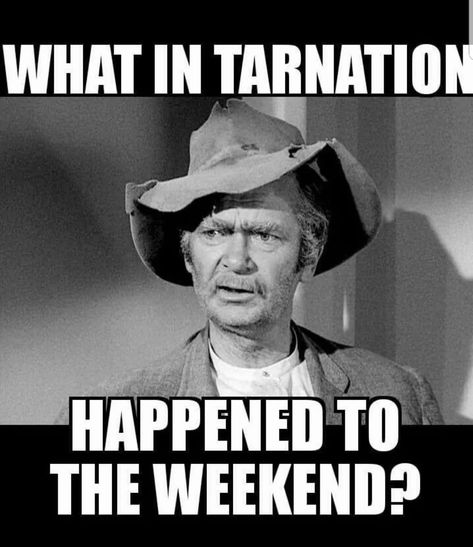 There were two tv shows that signaled the end of the weekend for me. See the intros! Weekend Meme, Getting Older Humor, Positive Memes, 3 Tv, Good Morning Funny Pictures, Good Morning Sunshine Quotes, Morning Quotes Funny, Classic Comedies, Weekend Humor