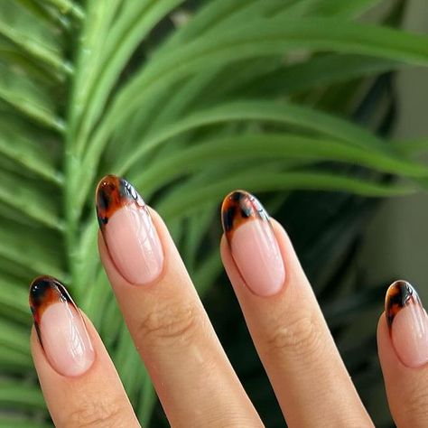 Shelley Graham on Instagram: "✨Ready for Vegas with my tortoiseshell French tips! 🐢 💅🏼 This trend will never go out of style.   Products used from @the_gelbottle_inc  Amber  Mocha Jet black   Extended with clear tips from amazon and build with TGB Proform in colour rose quartz.  Ring from @andotherstories   #thegelbottle #thegelbottleinc #tgb #tortoiseshellnails #tortoisenails #animalprintnails #tgbproform #tgbacademy #vegasnails #holidaynails #nailextensions #gelextensions #gelpolishdesign #gelnailart #neutralstyle #folkestone #andotherstories" Toirtoshell Nails French, Tortoiseshell Nails French Tip, Toirtoshell Nails, Universal Nails, Tortoiseshell Nails, Gel Polish Designs, Vegas Nails, French Pedicure, Nail Board