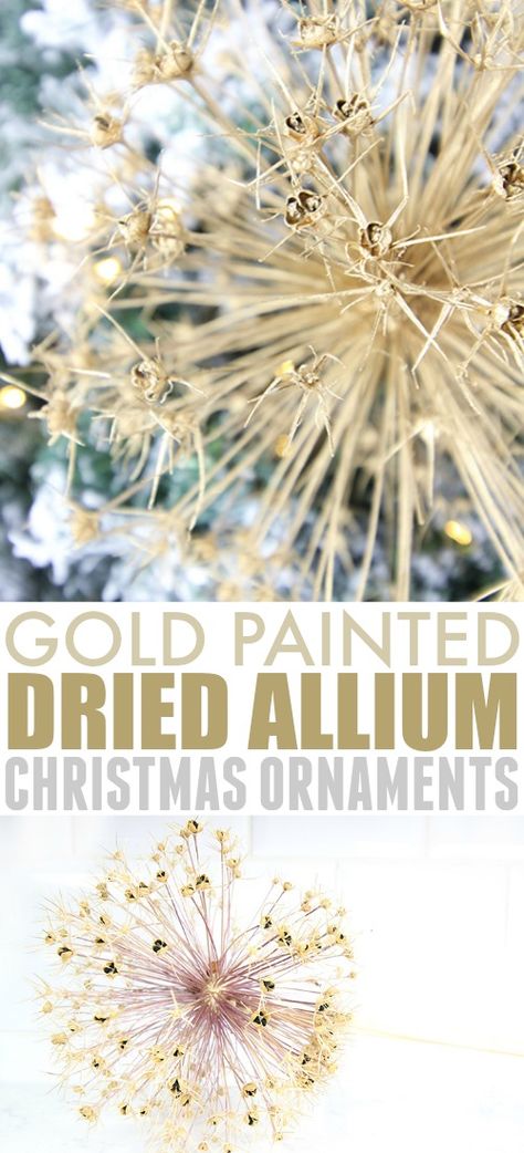 Dried Allium Christmas Ornaments | The Creek Line House Dried Allium Heads Christmas, Dried Flower Christmas Tree, Dried Hydrangea Christmas Tree, Dried Hydrangeas In Christmas Tree, Dried Allium Heads, Allium Wall Art, Dried Flower Glass Ornaments, Pumpkin Tablescape, Allium Flowers