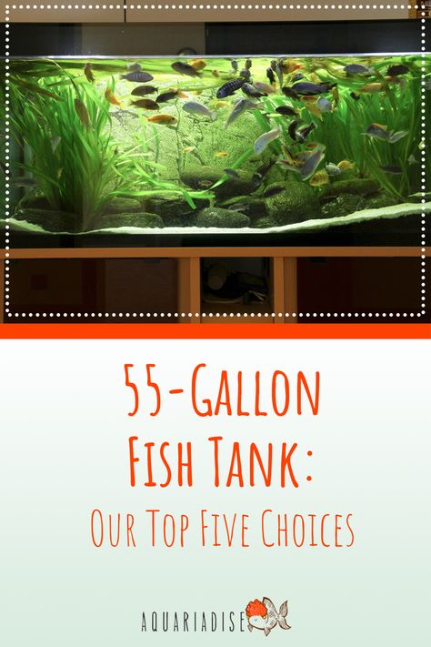 A 55-gallon fish tank can accommodate several schools of freshwater fish or house an assortment of saltwater fish. Keep reading to find out everything you need to know about 55-gallon aquarium systems and our top 5 choices! Freshwater 55 Gallon Fish Tank Ideas, 65 Gallon Fish Tank Ideas, 55 Gallon Fish Tank Ideas, 55 Gallon Fish Tank, 55 Gallon Aquarium Stand, 75 Gallon Aquarium, 55 Gallon Aquarium, 55 Gallon Tank, Nano Reef Tank