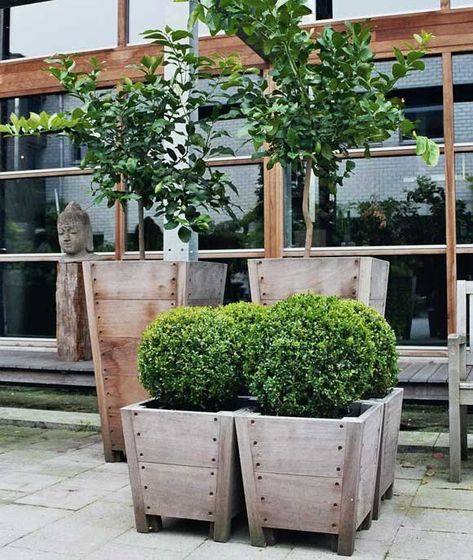 World's Most Beautiful Garden Planters, by Way of Belgium : Remodelista Diy Wood Planter Box, Diy Wood Planters, Diy Planters Outdoor, Outdoor Planter Boxes, Diy Planter Box, Wooden Planter Boxes, Wood Planter Box, Beautiful Yards, Planter Design