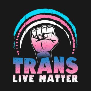 Trans Accessories, Gender Fluid Wallpaper, Pride Parade Ideas, Trans Aesthetic, Trans Wallpaper, Trans Pfp, Pride Butterfly, Trans Lives Matter, Transgender Quotes