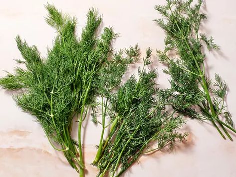 How to Freeze Fresh Dill for Later Use Preserve Dill, Salmon Pinwheel, Salmon Pinwheels, Crab Stuffed Salmon, Freezing Fresh Herbs, Tomato Powder, Latin American Food, Fish Soup, Summer Tomato