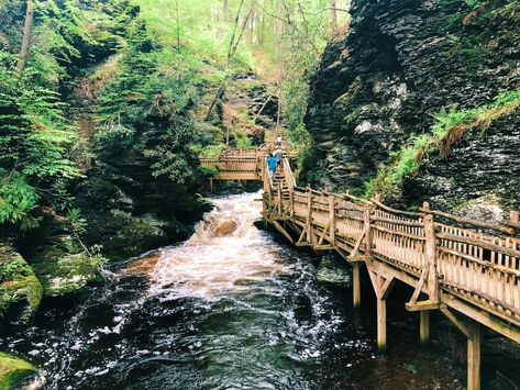 Bushkill Falls, Camping In Pennsylvania, Lake Wallenpaupack, The Poconos, Pocono Mountains, Free Camping, Road Trip Fun, Lonely Planet, Scenic Views