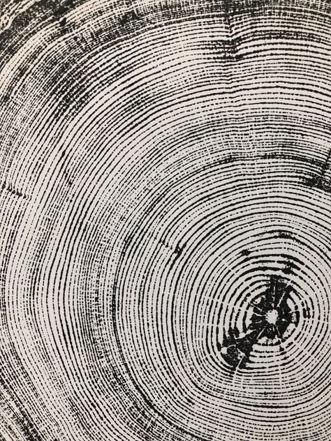 Denver Colorado Tree Ring Art Print Douglas Fir Tree | Etsy Tree Rings Graphic Design, Tree Rings Art, Parametric Ceiling, Messages Wallpaper, Tree Symbolism, Tree Ring Prints, Tree Ring Print, Tree Ring Art, Tree Circle