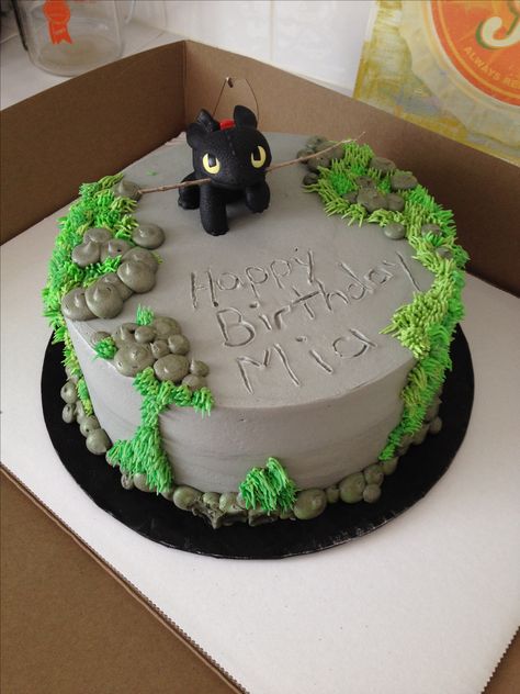 Toothless Cake, Dragon Birthday Cakes, Dragon Cakes, Dragon Birthday Parties, Dragon Cake, Dragon Birthday, Dragon Party, A Birthday Cake, Themed Birthday Cakes