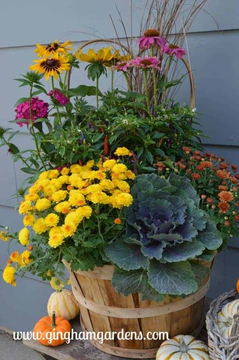 Lots of super cute ideas for simple fall porch decor and outdoor fall decorating ideas. Includes traditional fall decor items, along with vintage junk. #falloutdoordecorations #fallfrontporchideas Fall Potted Plants, Shade Plants Container, Fall Container Plants, Fall Flower Pots, Fall Pots, Fall Landscaping, Pumpkins And Gourds, Fall Container Gardens, Fall Gardening