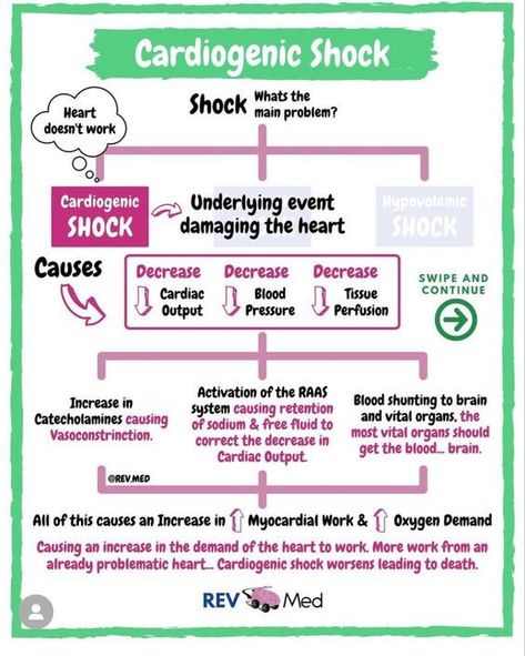 Cardiogenic Shock #medicalschool #resources #medicalstudent - Image Credits: Melinda Begum Cardiogenic Shock Nursing, Nursing Party, Nursing School Studying Cheat Sheets, Cardiogenic Shock, Nursing School Essential, Medicine Notes, Nursing School Motivation, Nurse Study Notes, Medical Coder