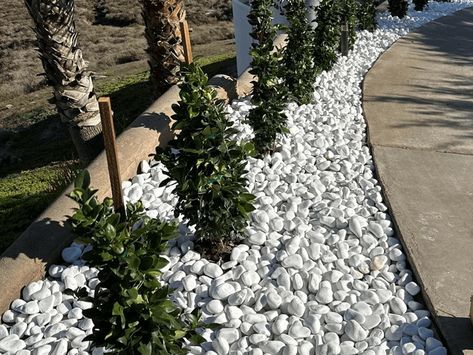 snow-white-pebbles White Rock Patio, Backyard Landscaping Pebbles, White Marble Rock Landscaping, White Stone Flower Bed, White Rocks Landscaping Ideas, White Pebble Border Garden, White Pebbles Landscape, Mexican Beach Pebbles, White Rocks