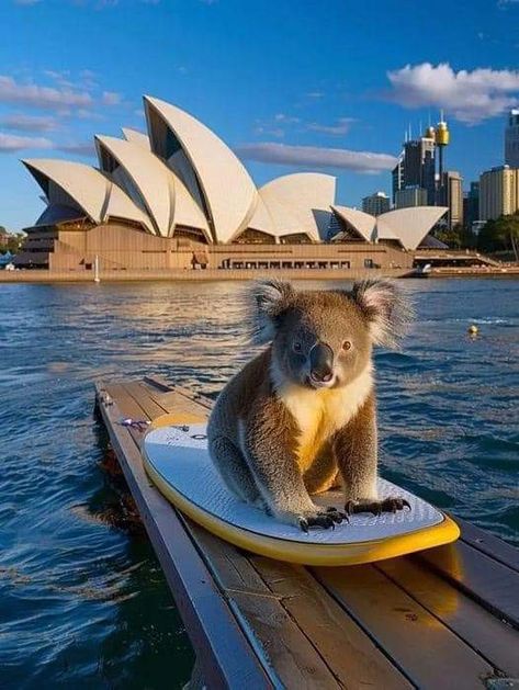 Aussie Life Aesthetic, Australia Wallpaper Aesthetic, Sydney Australia Lifestyle, Australia Lifestyle Aesthetic, Australian Summer Aesthetic, Australian Aesthetic, Australia Lifestyle, Australia Adventure, Aesthetic Australia