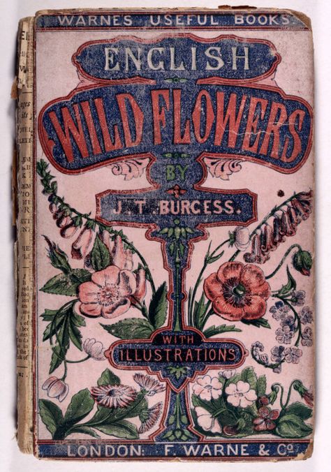 Antique books and flowers are part of the plot, so including vintage flower images like this would be perfect. English Wildflowers, British Wildflowers, Illustration Art Nouveau, Garden Books, Nature Books, The Language Of Flowers, Modern Books, Vintage Book Covers, Beautiful Book Covers