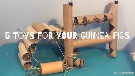 These toys were so fun and easy to make. If your small animal loved it as much as the piggies did, please leave a comment!! As always, thanks for watching. I... Diy Guinea Pig Toys, Diy Bunny Toys, Diy Guinea Pig Cage, Rabbit Diy, Guinea Pig Diy, Hamster Diy, Guinea Pig Accessories, Pig Toys, Guinea Pig (toy)