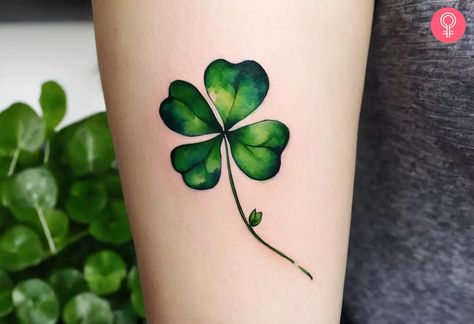 Irish Clover Tattoo For Women, Green Clover Tattoo, Four Leaf Clover Tattoo Traditional, Four Leaf Clover Tattoo Design, Shamrock Tattoo For Women, Five Leaf Clover Tattoo, Irish Clover Tattoo, Clover Tattoo Ideas, Irish Shamrock Tattoo