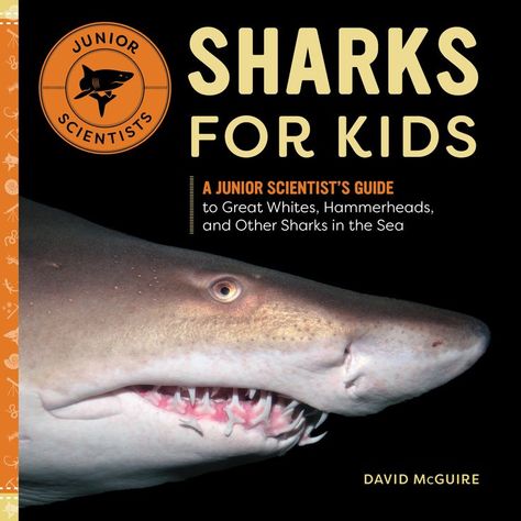 Sharks for Kids, Science Book to Sharks Giant Whale, Shark Books, Goblin Shark, Shark Conservation, National University Of Singapore, Sharks For Kids, Whale Sharks, School Buses, National Geographic Kids