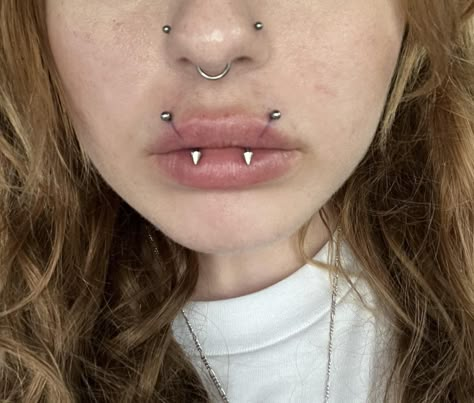 Angel Fangs Piercing, Fangs Piercing, Angel Fangs, Angel Bites Piercing, Angel Bites, Stretched Septum, Snake Bite Piercing, Mouth Piercings, Piercing Chart