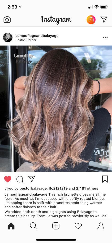 Love the tone Cinnamon Hair Colors, Schwarzkopf Hair Color, Cinnamon Hair, Fall Hair Color Trends, Hair Gloss, Hair Color Formulas, Dark Hair With Highlights, Haircuts For Medium Hair, Hair Color And Cut