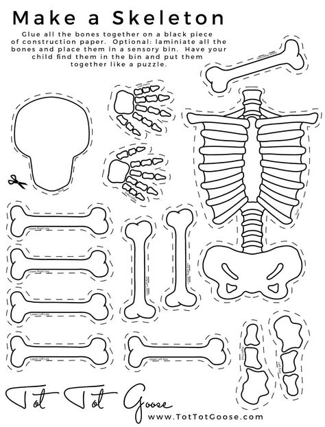 Skeletal System Worksheet Pdf Skeleton Printable All About theme Preschool 7th Grade Skeleton Puppet, Skeleton Craft, Body Preschool, Human Body Unit, Adornos Halloween, Preschool Science, Tot School, Preschool Theme, Theme Halloween