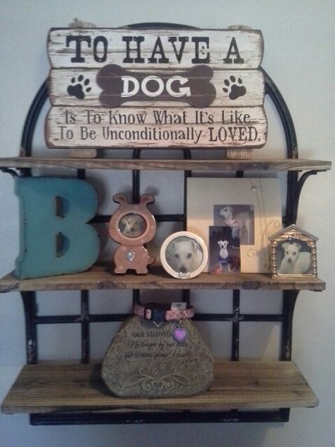 Pet Memorial Display Ideas, Memorial Display Ideas For Home Dog, Memorial Wall For Dogs, Memorial Shelf Display For Dog, Pet Memorial Shelf Ideas, Dog Memorial Shelf Ideas, Dog Memorial Shelf, Pet Memorial Wall In Home, Dog Memorial Ideas Ashes