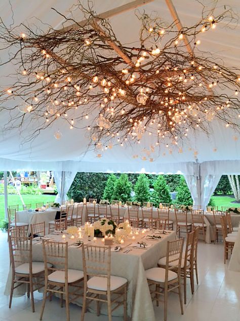 Modern Wedding Ceiling Installation, Twig Ceiling Tree Branches, Hanging Branch Installation, Hanging Tent Decor, Branch Ceiling Decoration, Wedding Lights Decorations, Greenery Ceiling Installation, Hanging Wedding Decorations Ceilings, Light Ceiling Wedding