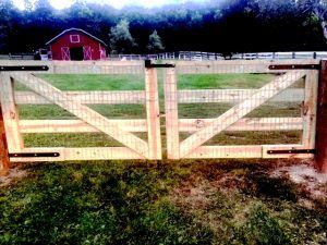 4-Rail Horse Fencing Fence Gates Ideas, Backyard Dog Fence, Post And Rail Fence Gate, Barn Gates, Wood Horse Fence, Diy Fences, Ranch Rail Fence With Wire, Black Horse Fencing, Farm Gates Entrance