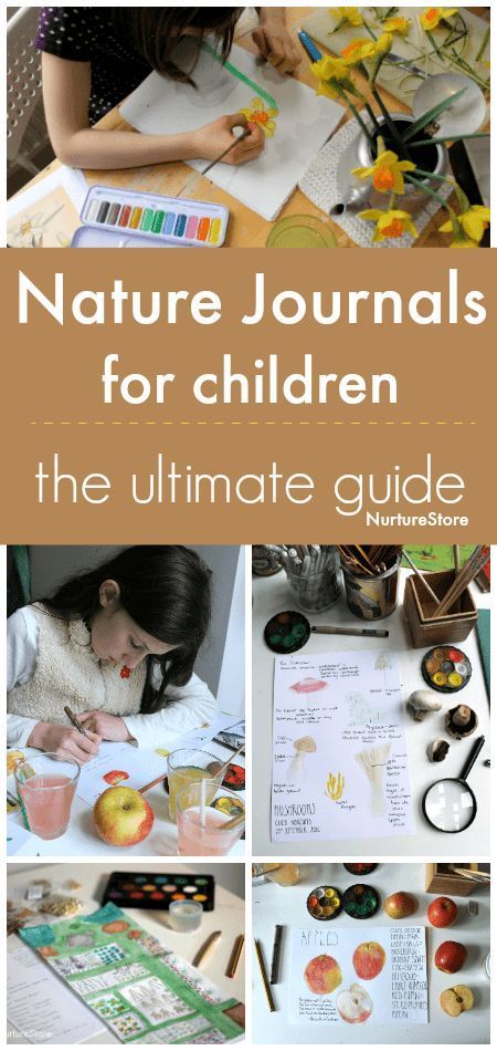 Nature Based Learning, Nature Learning, Homeschool Nature Study, Homeschool Nature, Nature Journals, Diy Nature, Nature Education, Nature Studies, Nature Journaling