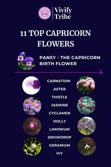 Capricorn Flower Guide: Pansy & 10 Other Lucky BloomsCurious about which flowers are best suited for Capricorns? Look no further! Discover the top zodiac flowers that perfectly match the traits and characteristics of this earth sign, including Pansy, Geranium, Holly, Jasmine, Aster, and more! Capricorn Flower Birth Month, Taurus Man Capricorn Woman, Capricorn Flower, Capricorn Vibes, Zodiac Flowers, Capricorn Woman, Birth Colors, Capricorn Tattoo, Capricorn Traits