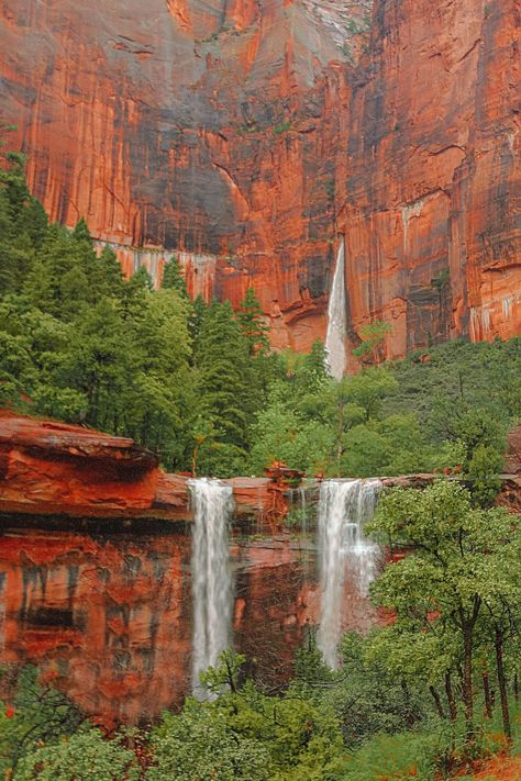 12 Best Things To Do In Zion National Park, USA - Hand Luggage Only - Travel, Food & Photography Blog Zions National Park, National Park Pictures, State Parks Usa, Zion Park, Utah Trip, Snow Canyon State Park, National Park Lodges, Escalante National Monument, Zion National Park Utah