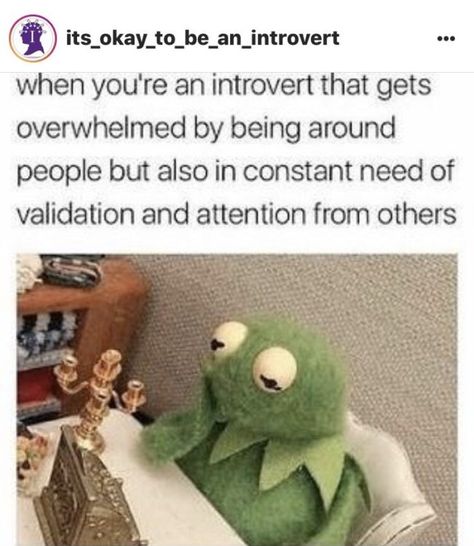 when you're an introvert but need validation and attention from others Health Memes, Introvert Problems, Introvert Humor, Funny Pictures With Captions, Flirting Memes, Kermit The Frog, Memes Hilarious, Flirting Humor, Introverted