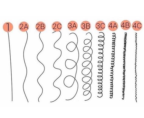 Curl Pattern Chart, Curl Type Chart, Hair Texture Chart, Afro Hair Types, Hair Type Chart, Hair Chart, Black Hair Types, Different Curls, Textured Curly Hair