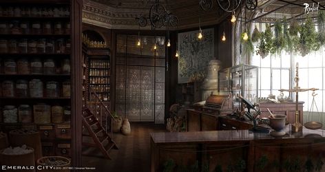 Emerald City - Ev herbalist, Pixoloid Studios on ArtStation at https://www.artstation.com/artwork/X8Noa Herbalist Shop, Apothecary Decor, Environment Painting, Episode Interactive Backgrounds, Episode Backgrounds, Fantasy Places, Emerald City, Cozy Mysteries, Interior Design Art