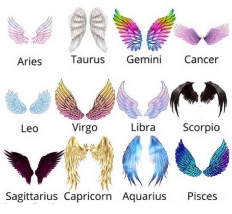 Zodiac Signs Animals, Zodiac Signs Pictures, Zodiac Sign Fashion, Zodiac Characters, Zodiac Signs Chart, Anime Zodiac, Zodiac Funny, Zodiac Signs Sagittarius, Zodiac Signs Pisces