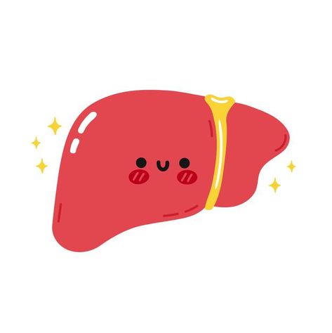 Cute funny healthy liver organ character | Premium Vector #Freepik #vector #background #logo #baby #character Liver Organ, Medical Pictures, Logo Baby, Homemade Facial Mask, Kids Doodles, Instagram Photo Frame, Watercolor Baby Shower, Baby Greeting Cards, Boy Illustration