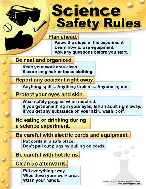 elementary science lab layout | Elementary Science Lab Rules http://www.edison.k12.nj.us/Page/3426 Science Lab Safety Rules, Science Safety Rules, Lab Safety Rules, Science Lab Safety, Science Safety, Elementary Science Activities, Lab Safety, Science Room, Safety Rules